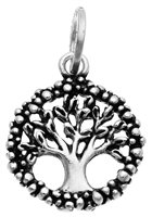 Charm Giovanni Raspini Charms in Argent 10598 - 10598
